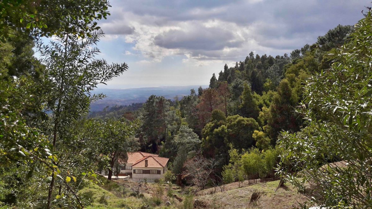 Parc national de Monchique : un havre de paix au cœur de l&rsquo;Algarve