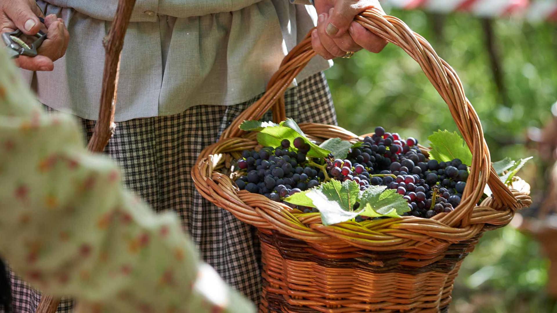 Festival du vin de Madère