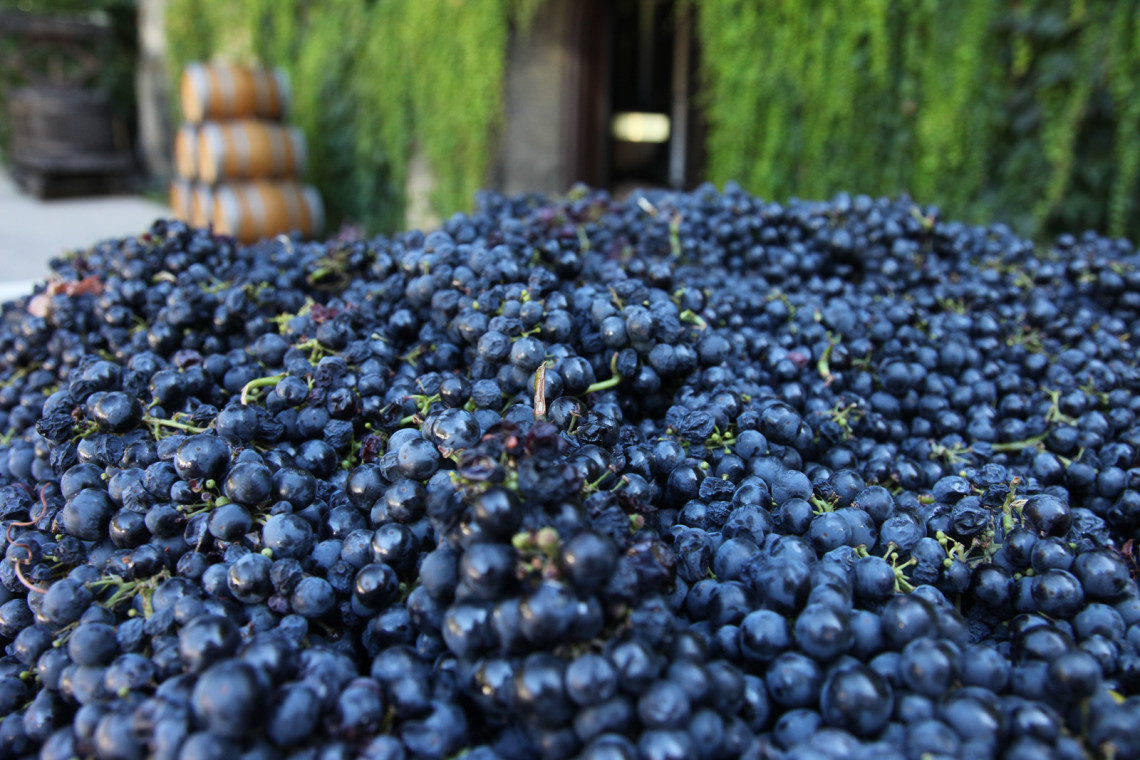 À la découverte de l’Algarve et ses vignobles