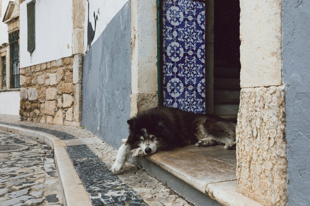 Visite de Faro, la vieille ville