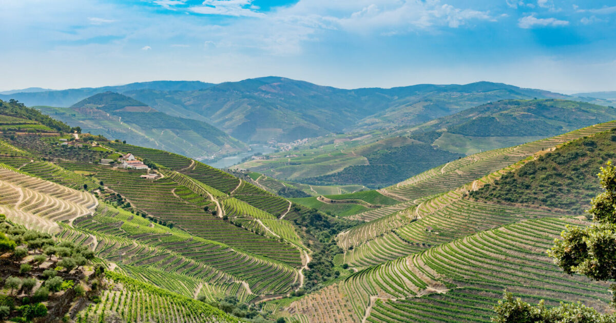 les vins du Douro