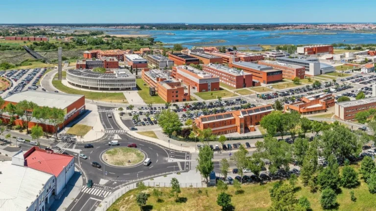 universite aveiro