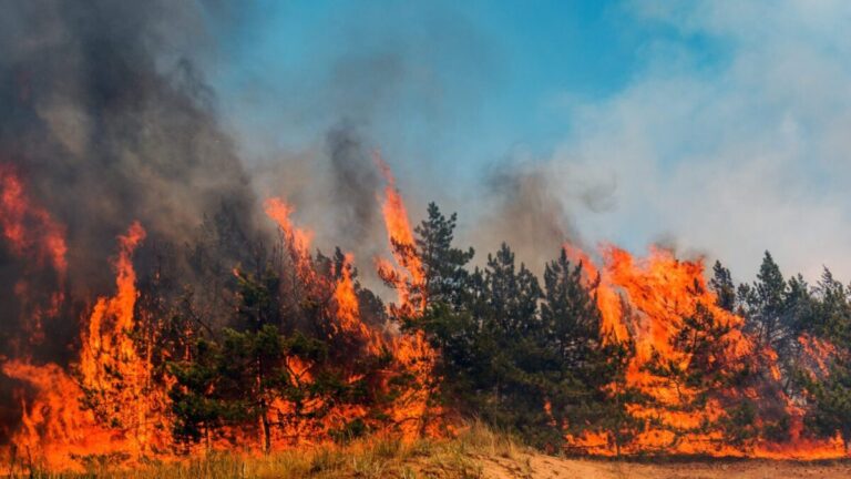 incendie beja