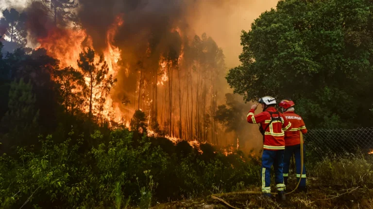 feu portugal juillet 2025