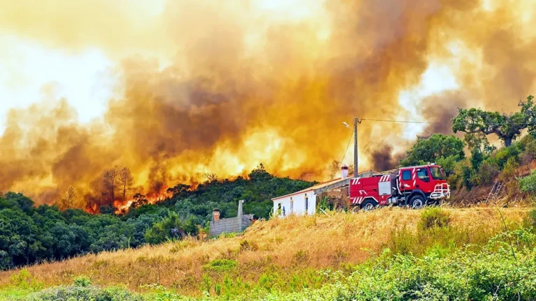 incendie portugal