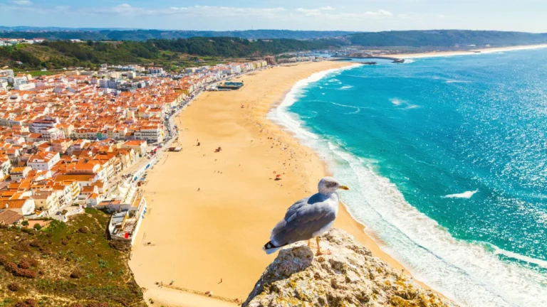 plage nazare FERMEE