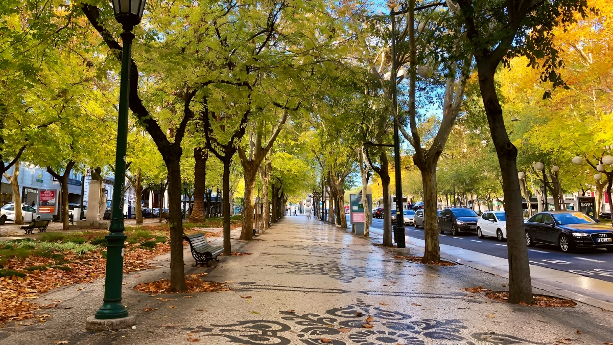 automne lisbonne