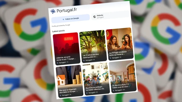 google discover