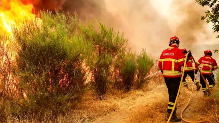 incendies portugal