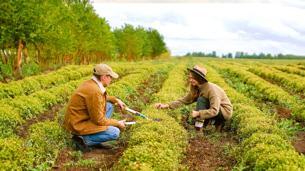 Valpaços élue meilleure ville BIO d’Europe