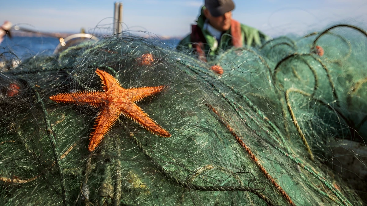 récif de Pedra do Valado