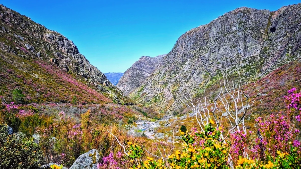 Vale do Alto do Homem, trésor secret du Gerês