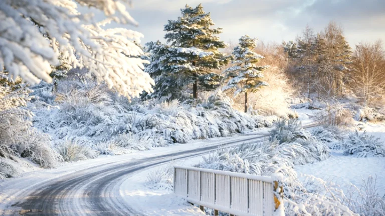 neige portugal 23 janvier