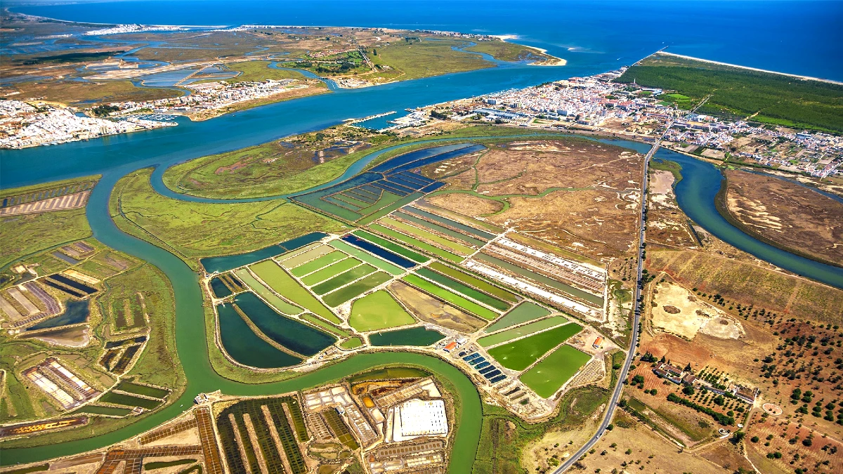 La réserve naturelle du Sapal de Castro Marim