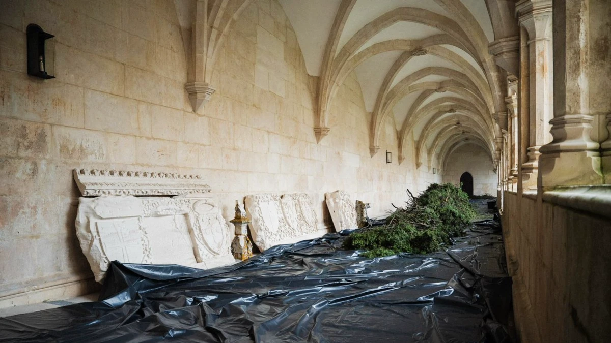 degats tempete janvier 2026