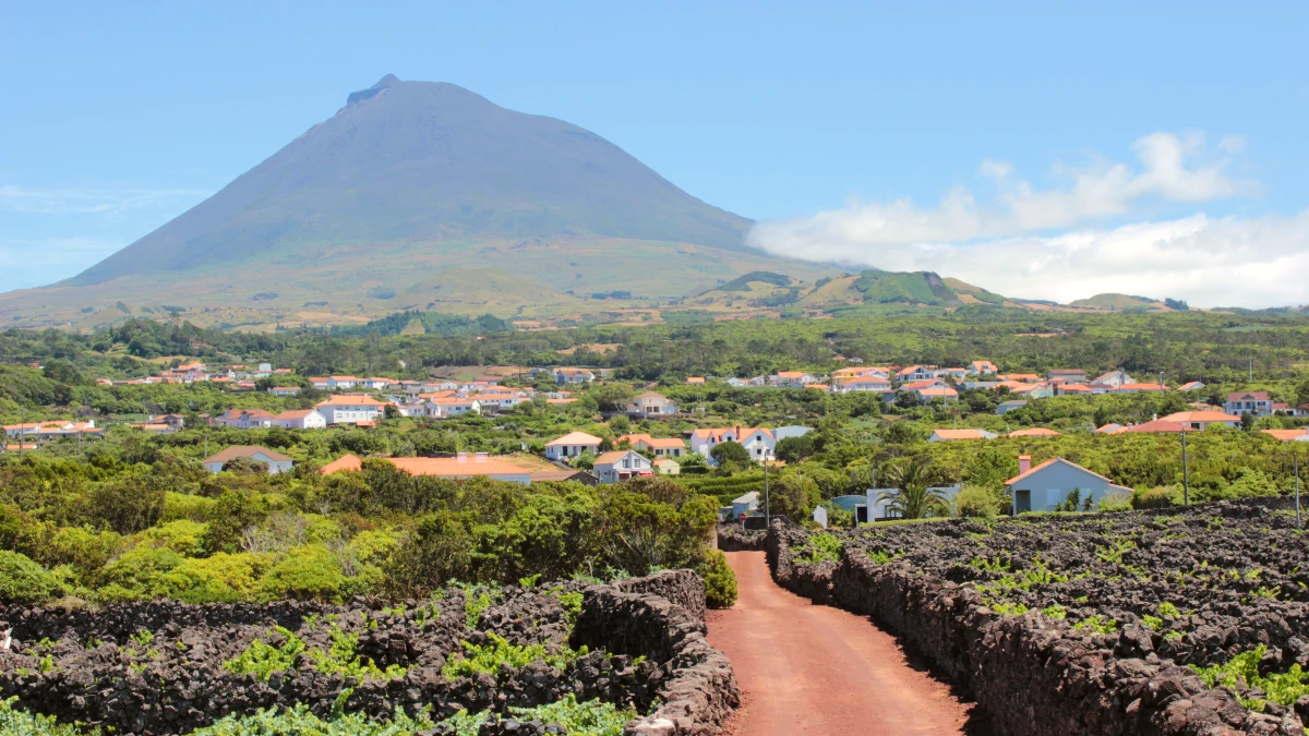 Madalena do Pico