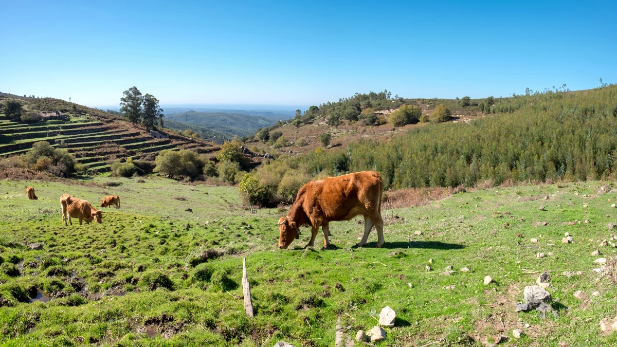 Via Algarviana paysages