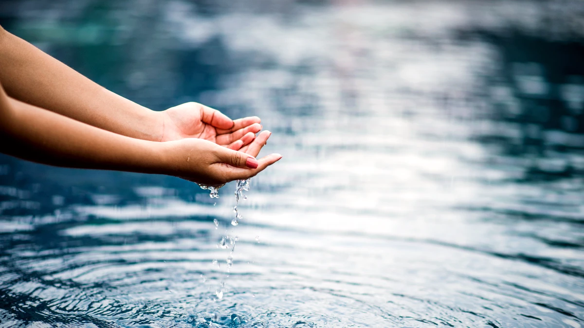 gestion eau portugal