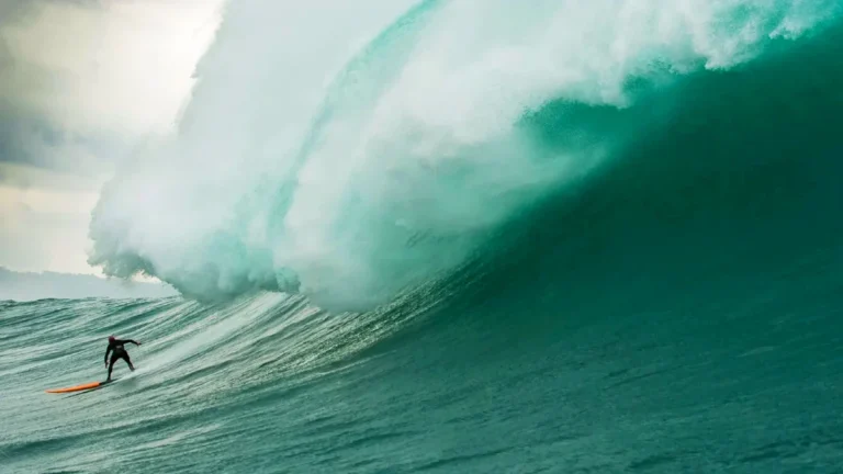 nazare vague geante