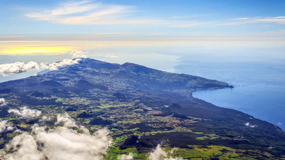 pico vue