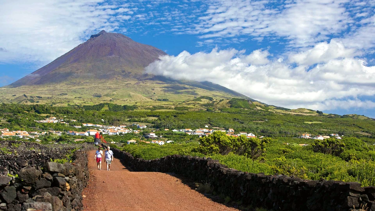 rando pico