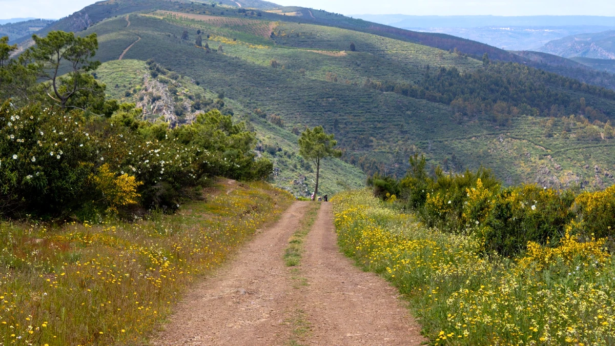 Serpente do Medal : un sentier unique entre Estevais et le Sabor