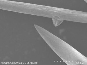 As-microagulhas-vistas-ao-microscopio-eletronico