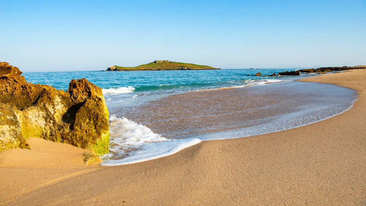 Ilha do Pessegueiro