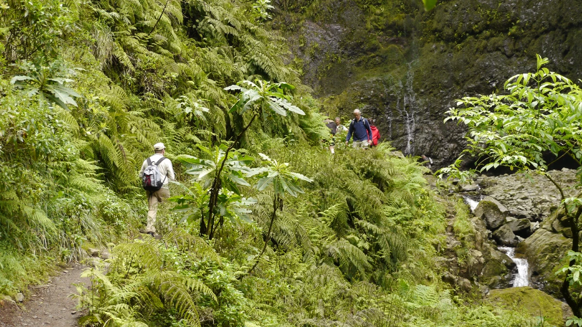 Levada do Caldeirão Verde