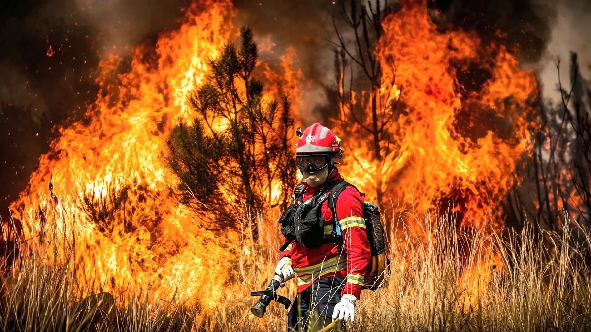 Lutte contre le feu dans la forêt