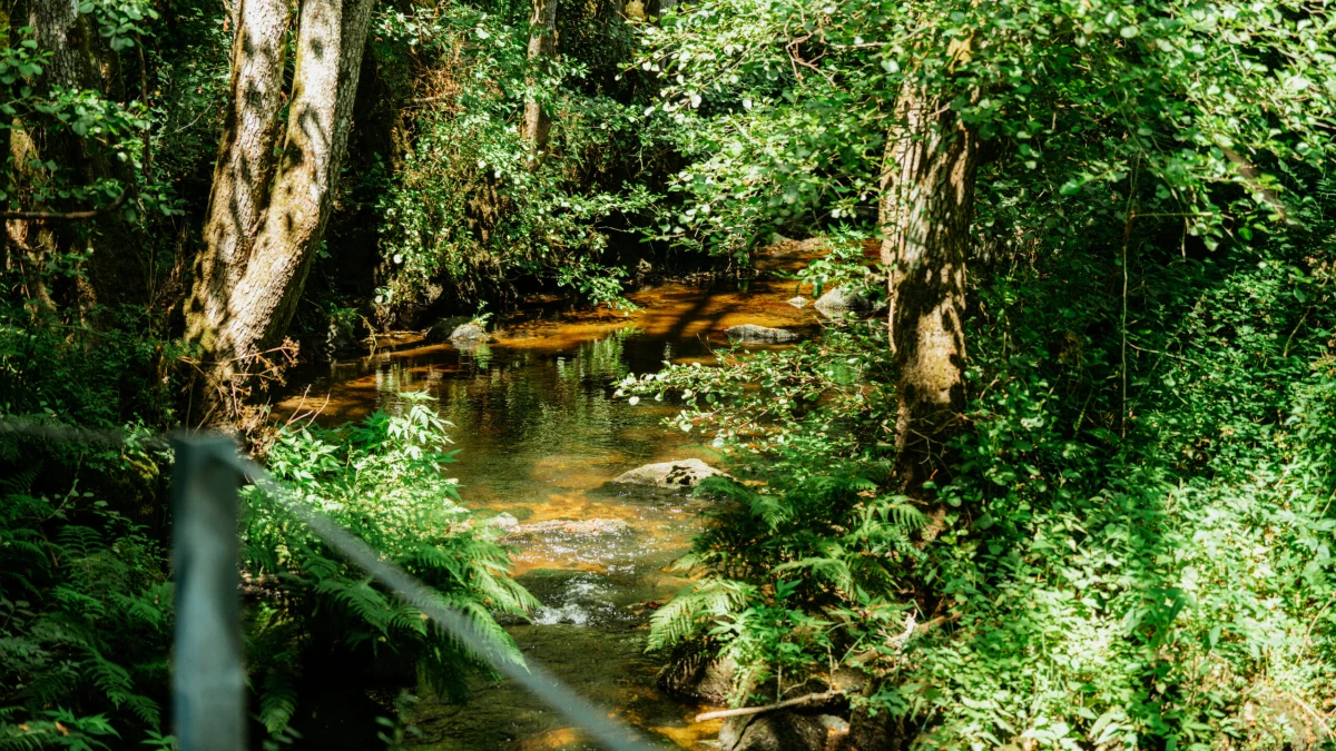 Rio de Cavalos