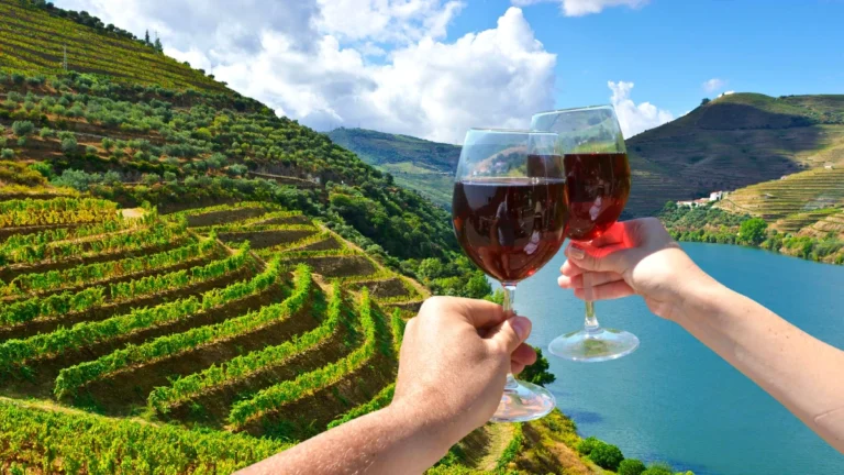 Porto devient le point de rencontre du Douro et des grands vins espagnols