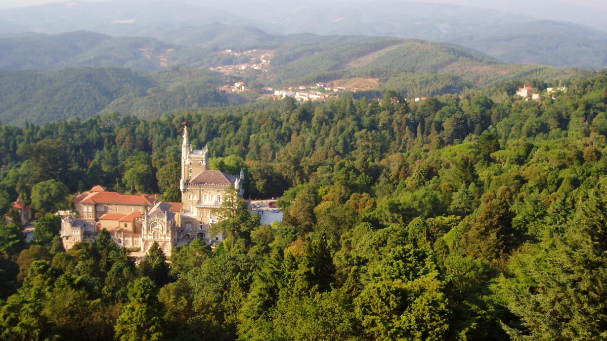 foret de Buçaco