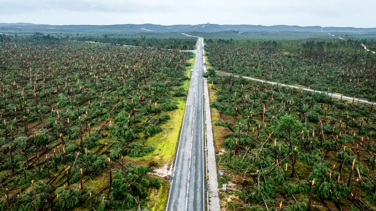 L&rsquo;UE débloque 250 millions d&rsquo;euros pour les forêts au Portugal
