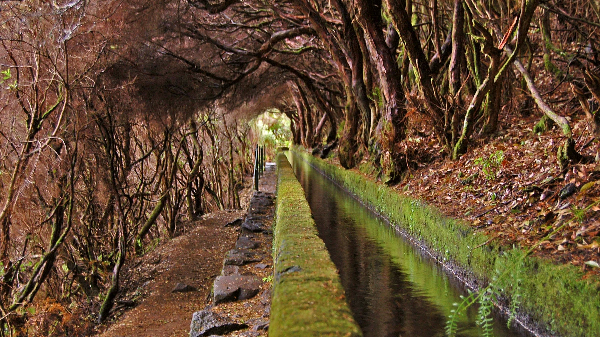 levada-das-25-fontes