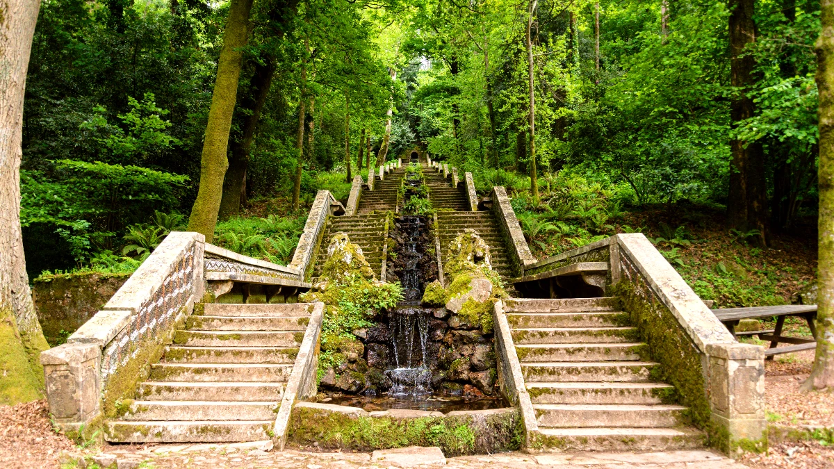 mata do bussaco