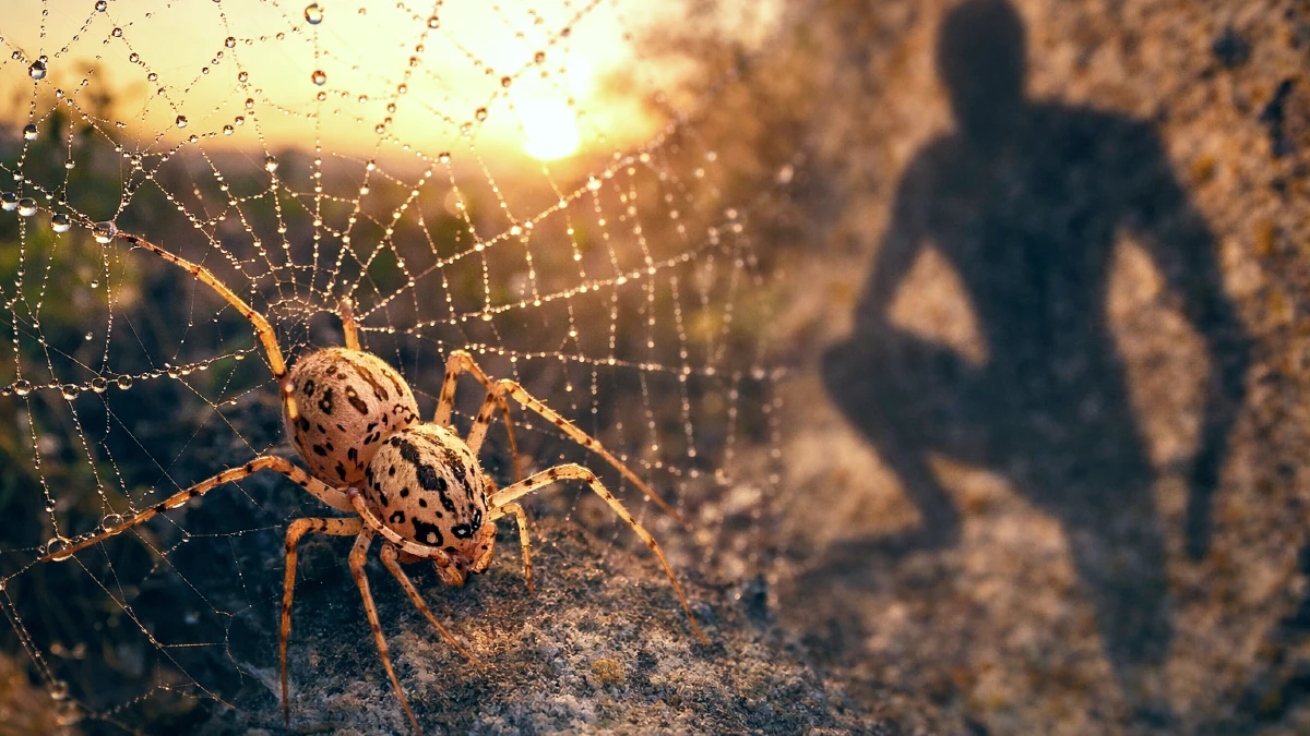 spiderman portugal alentejo