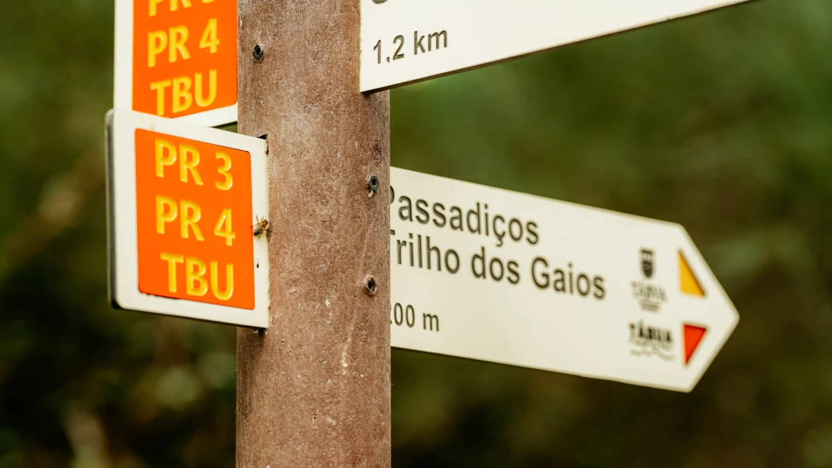 trilho dos Gaios