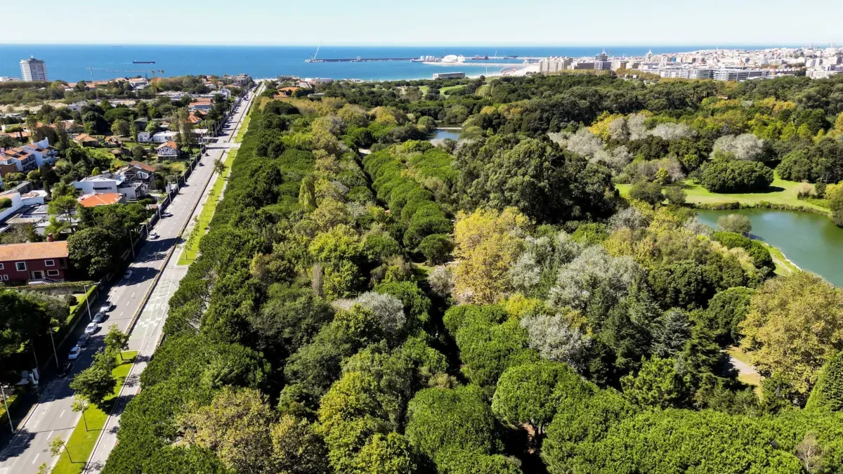 Parque da Cidade