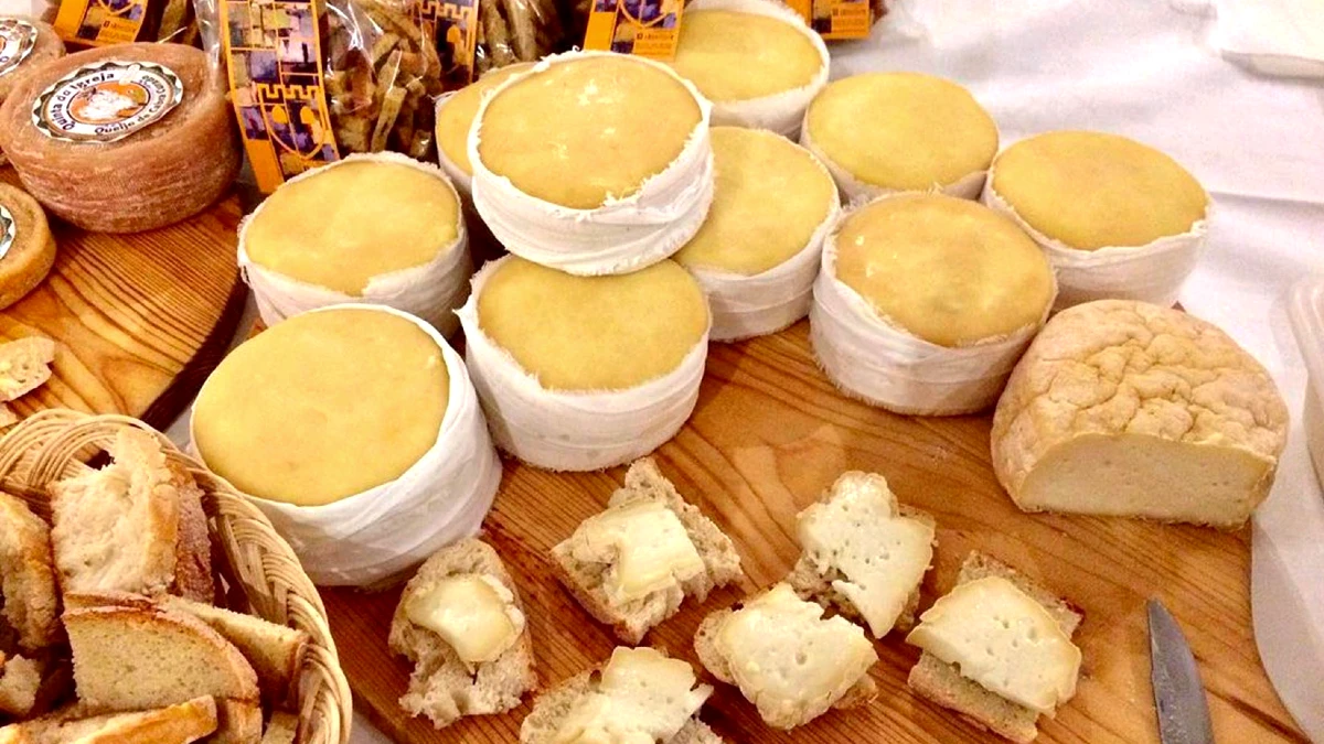 fromage serra da estrela