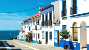 immobilier alentejo