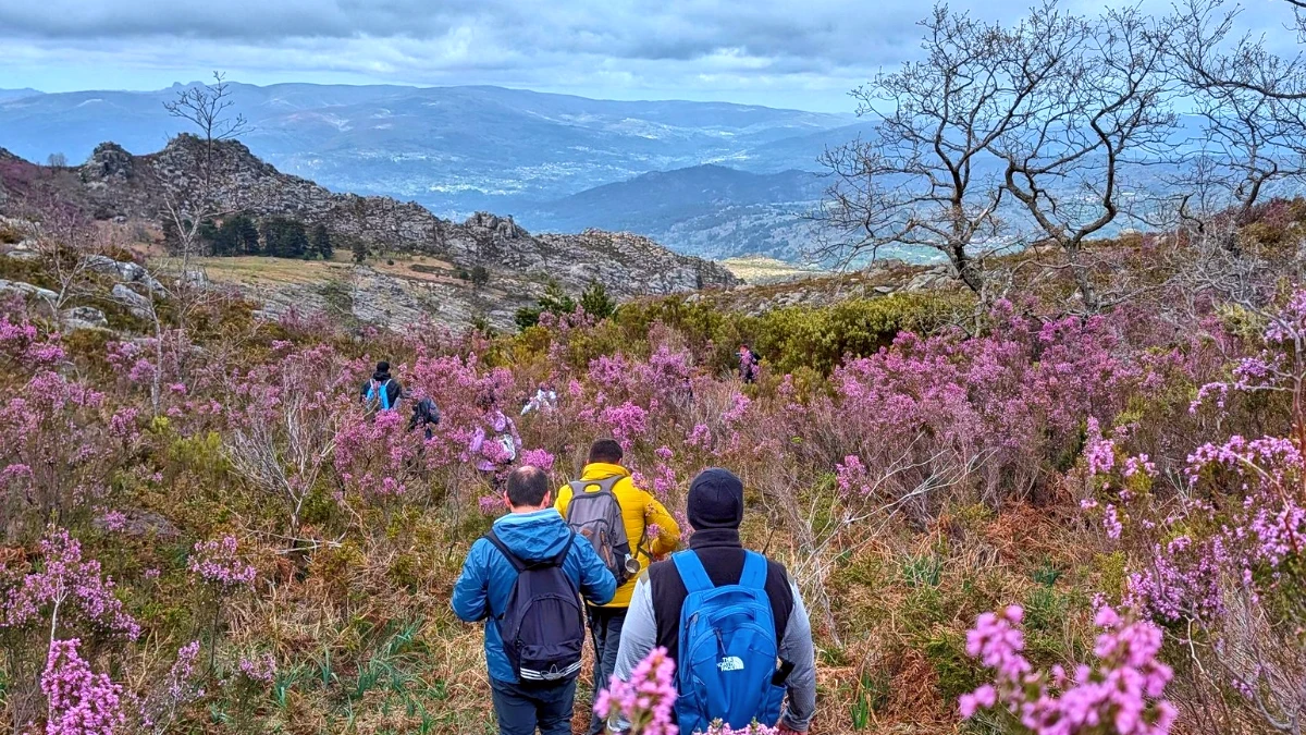 pico do geres