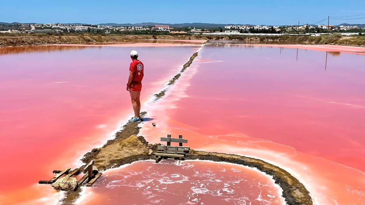 salines roses tavira