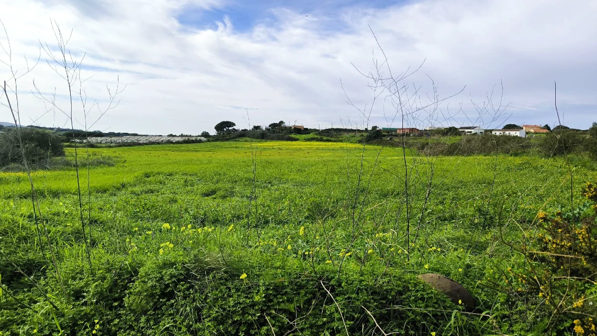 terrain sans proprietaire