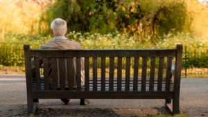 vieux solitude 2070