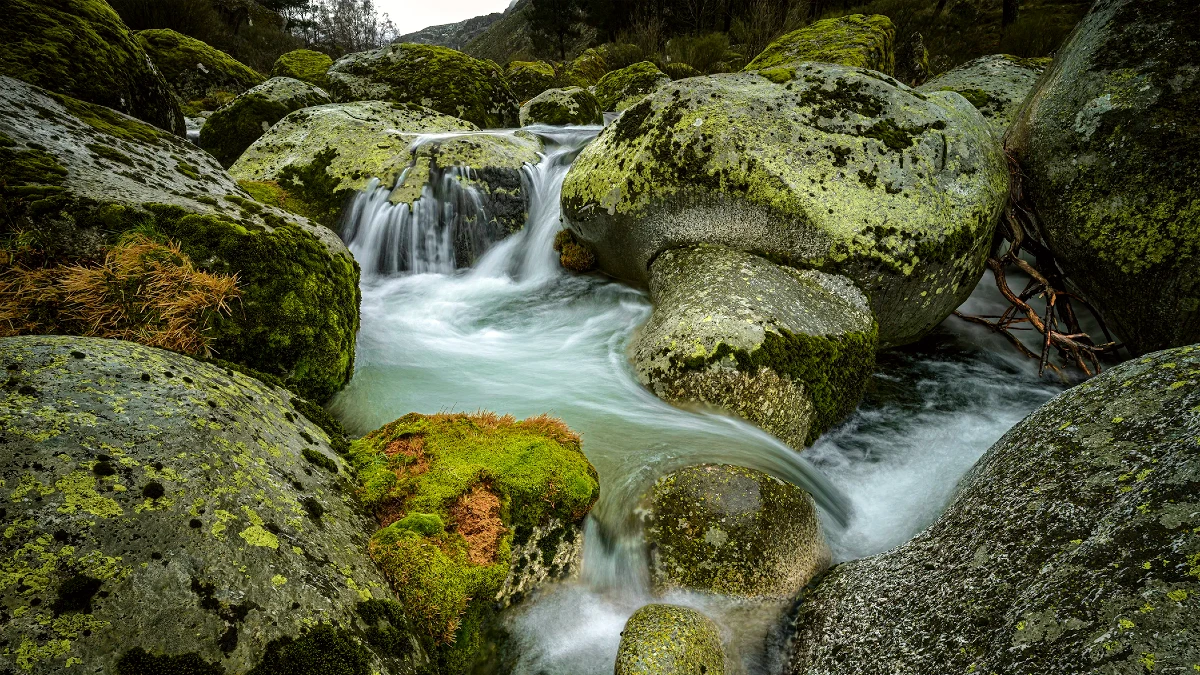 Serra da Estrela