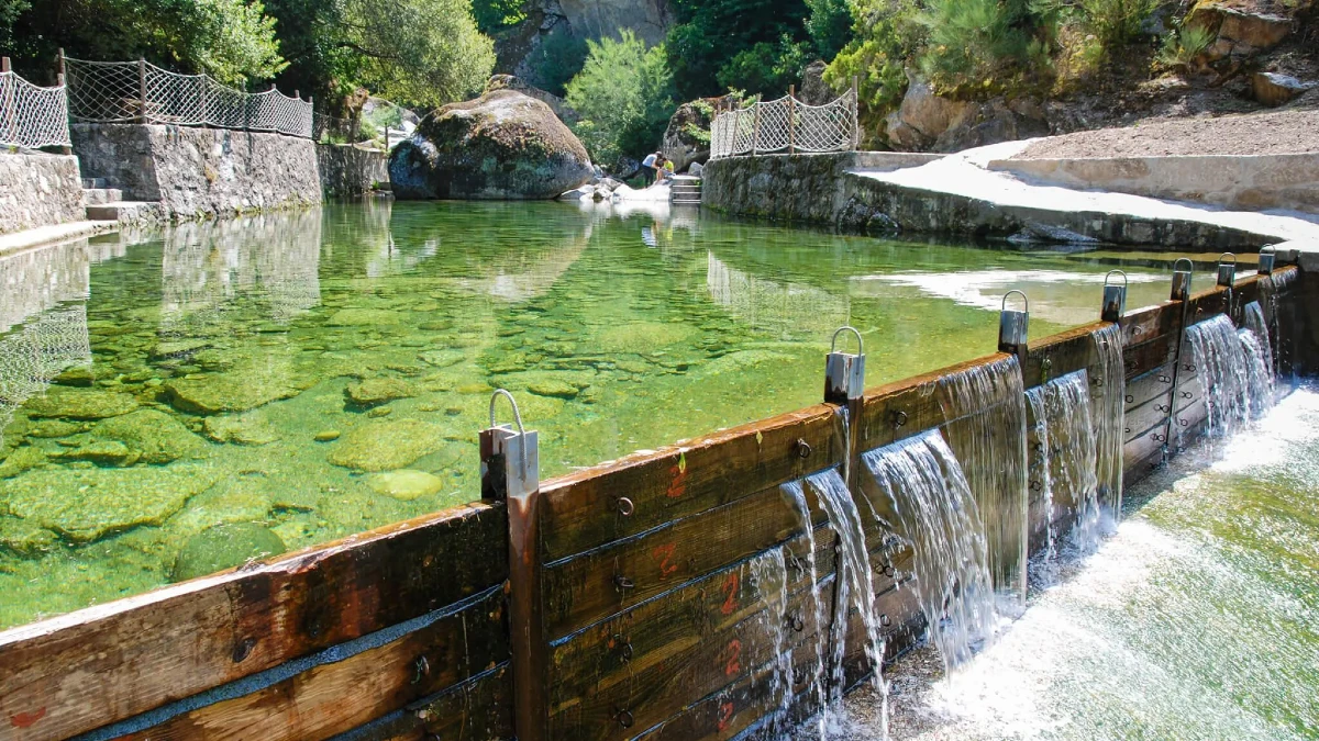 lapa do dinheiro