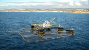 mariculture portugal