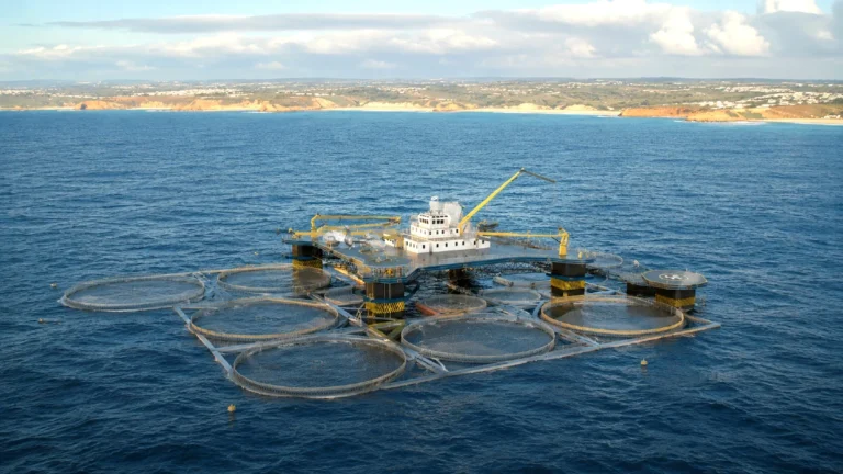 mariculture portugal