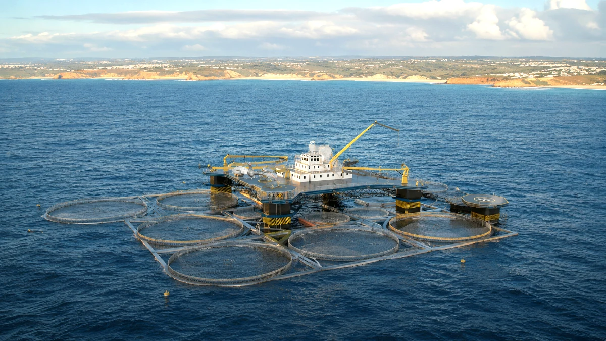 mariculture portugal